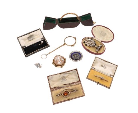 including a sapphire and diamond insect brooch, a carved shell cameo brooch, with foliate  decoration, in a metal mount, a Vi