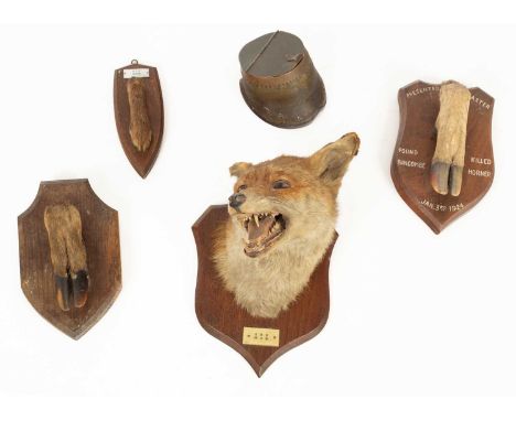 A small group of taxidermy items including a fox mask mounted on an oak shield labelled E.D.H 19.11.21 and with impressed mar