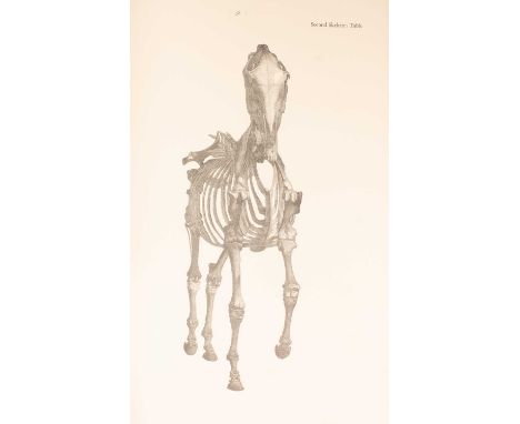 Stubbs (George) The Anatomy of the Horse, London: J A Allen &amp; Co, 1965, folio, original wrapperNot collated. Clear wear t