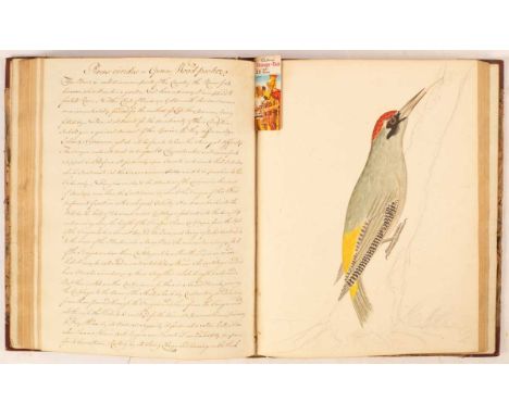Justice (Francis) Manuscript Volumes of British Birds after Nature, Sutton-Courtney, Berkshire, circa 1810/20; 2 quarto (appr