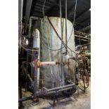 Vertical Carbon Steel Tank, Insulated, Flat Bottom, with Steam Coils, Rigging Fee: $700