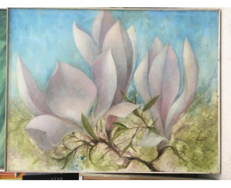 M Wieland 78, acrylic on board study of Magnolia 76 x 99cm