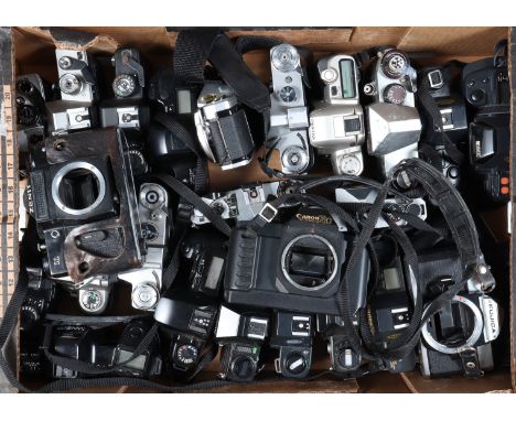 A Tray of SLR Camera Bodies, manufacturers including Canon, Minolta, Praktica, Zenit, Olympus and other examples, all AF