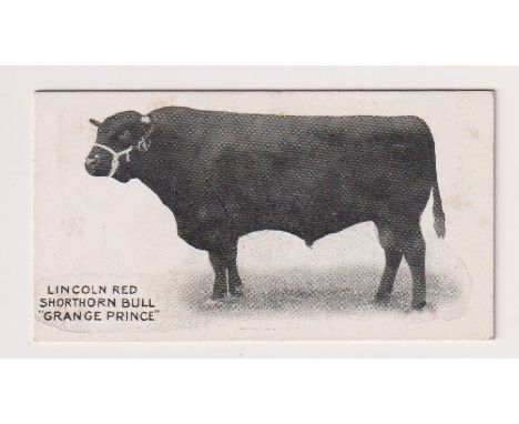 Cigarette card, Taddy, Famous Horses &amp; Cattle, type card, no 46, Lincoln Red Shorthorn Bull, 'Grange Prince', (some very 