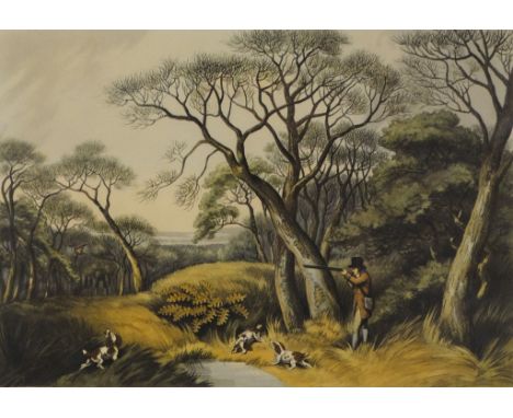 Brian RAWLING (British b. 1931) Roebuck Lithograph Signed and numbered 359/600 in pencil Framed and glazed Picture size 42 x 