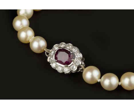 A CULTURED PEARL NECKLACE WITH RUBY AND DIAMOND CLASP, the single strand of uniform cultured pearls to a cluster panel clasp,