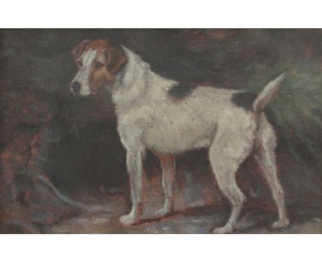 English School, 20th centuryStudy of a terrieroil on board20 x 30.5cmCondition Reportoverall: 32 x 42cmIn apparently original