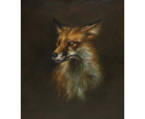 ▴ Victoria Mac Dermott (b.1972)Study of a foxindistinctly signed l.l., oil on board31 x 36cmCondition Reportframed 46.5 x 42c