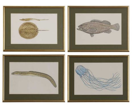 Phil Coles (contemporary)'South Pacific Terrors', Marbled Eel;'Death Down Under', Queensland Grouper;'Death Down Under', Box 