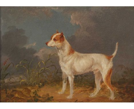 English School, 19th centuryA fox terrier in a landscapebears signature 'E Landseer' l.l., oil on canvas26 x 30.5cmCondition 
