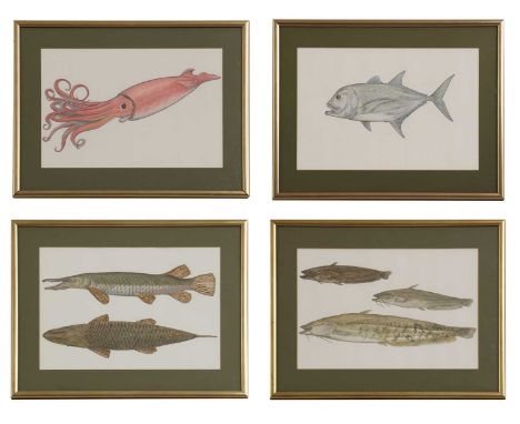 Phil Coles (contemporary)'Cold Blooded Horror', Amur Catfish, Biwa Rock Catfish and Giant Lake Biwa Catfish;'South Pacific Te