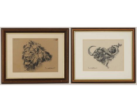 ▴ Donald C Grant (1930-2001)Cape buffalo;African Lion;two, signed 'Donald Grant' l.r. and l.l. respectively, black chalk19 x 