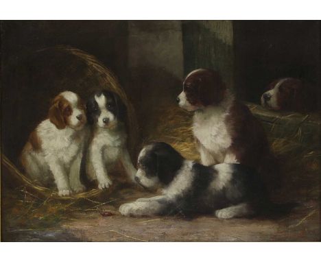 G Decauville (early 20th century)Spaniel puppies signed 'G.Decauville' l.r., oil on canvas50 x 70cmCondition Reportoverall: 6
