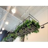 Rack plantes suspendues - illuminées 5' x 3' - Apportez échelle pour decendre