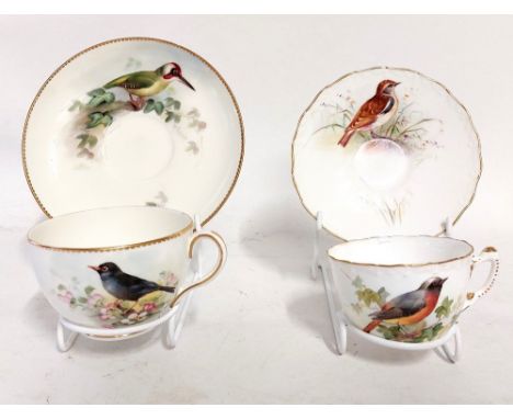 A group of matched Ornithological themed Royal Worcester cups and saucers. A Red start cup and a White Start saucer, each pie