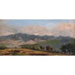 19th - 20th Century South African School. A Topographical Landscape, Oil on Unstretched Canvas, 11.