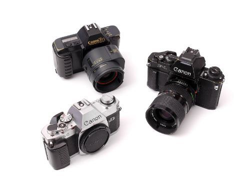 A Canon F1 SLR Camera, together with Canon AL-1 and T80 (3)