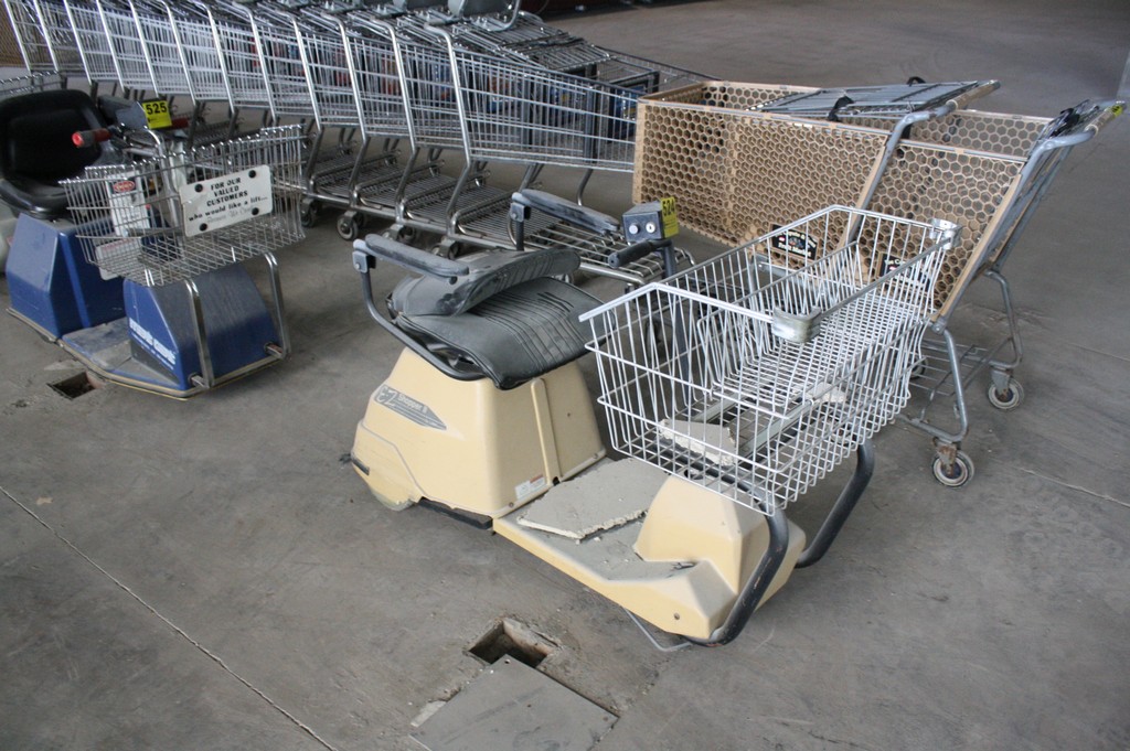 LARK EZ SHOPPER II ELECTRIC SHOPPING CART