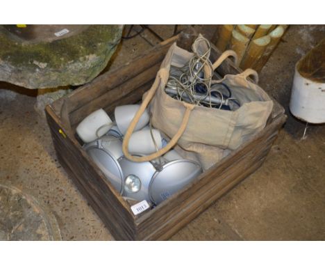 A box of various light fittings 