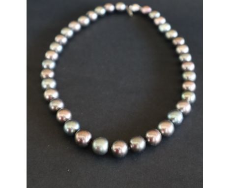 A black pearl necklace, set with thirty seven pearls to a 14ct gold ball clasp, approximately 49cm long, 98 grams