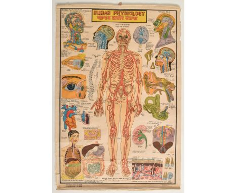 Indian Book Depot Map House - a vintage mid century Indian Human Skeleton physiological medical poster. The poster featuring 
