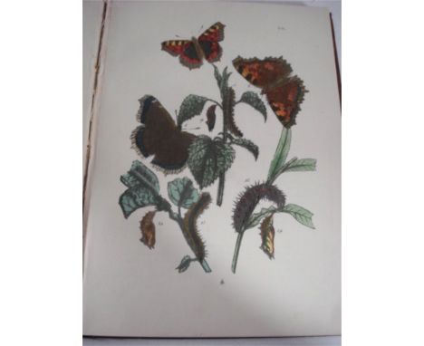 SEEBOHM, Henry - Coloured Figures of the Eggs of British Birds,: portrait and 60 col. plates, cl., 4to., 1896; STEUART, Henry