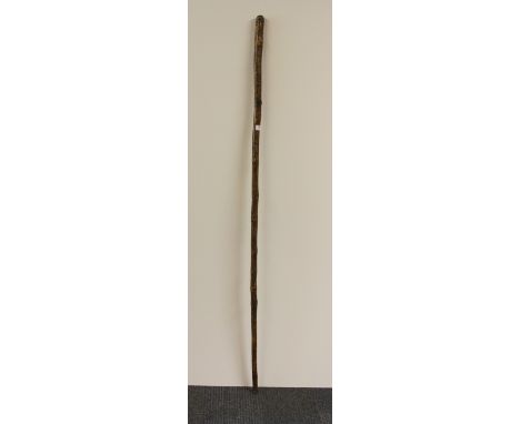 Extra long walking stick set with a Scouting badge (167cm)