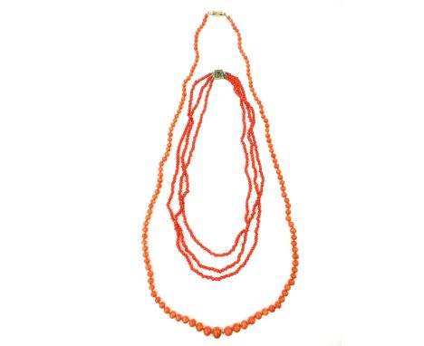 Two antique coral bead necklaces one formed of three strands held together by a jewelled clasp, the other on long strand of s