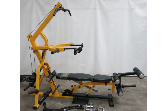 powertec workbench leg curl