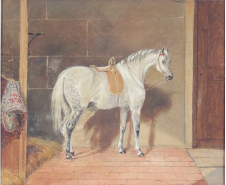 Late 19th Century School/Portrait of a Grey Horse in a Stable/indistinctly signed/oil on canvas, 24cm x 29.5cm