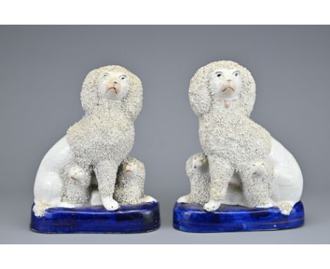 PAIR OF 19TH CENTURY STAFFORDSHIRE PORCELAIN POODLES WITH PUPS with part encrusted bodies seated on cobalt blue base with fad