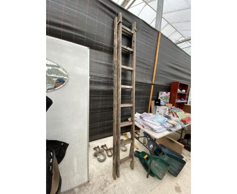 A VINTAGE TWO SECTION WOODEN 16 RUNG EXTENDABLE LADDER 