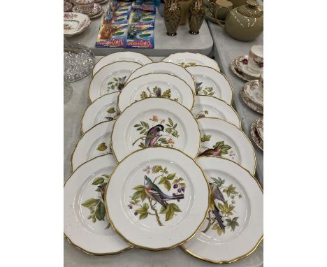 FOURTEEN SPODE, BIRD RELATED CABINET PLATES 