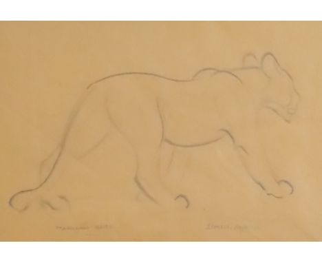 Stanislaus Brien (fl. 1930's - Polish) - Two charcoal sketches - "Lioness. Abyssinia", on manila paper 8.75ins x 12.75ins, an
