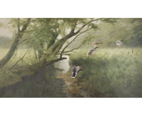 MANFRED SCHATZ1925 Bad Stepenitz am Stettiner Haff - 2004 MeerbuschAUFFLIEGENDE WILDENTEN Öl auf Leinwand. 80.5 x 140 cm (R. 