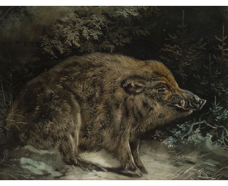AUGUST SCHLEICH1814 - 1865WILDSCHWEIN, 1855 Öl auf Papier, montiert. SM 21 x 27,5 cm (R. 40 x 48 cm). Signiert unten links. H