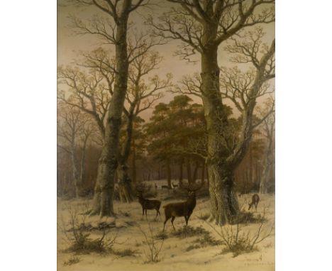 CAESAR BIMMERMANN1821 Eupen - 1890 NiederlandenHIRSCHE IM WINTERWALD, 1884 Öl auf Leinwand, doubliert. 94 x 76 cm (R. 114 x 9