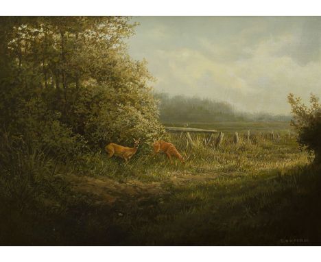 DICK VAN HEERDE1954REHE AUF DER LICHTUNG Öl auf Leinwand. 30 x 40 cm (R. 45 x 55 cm). Signiert unten rechts. Rahmen.