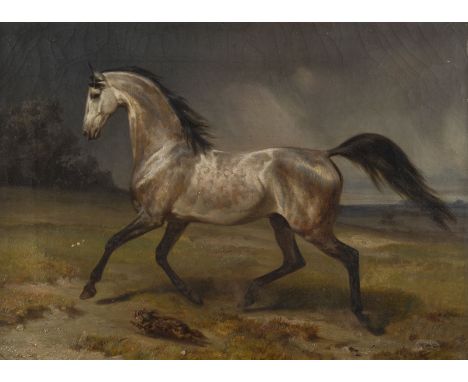 FRANZ KRÜGER (ZUGESCHRIEBEN)1797 Großbadegast - 1857 BerlinLAUFENDER SCHIMMEL IN DER LANDSCHAFT Öl auf Leinwand. 40 x 54 cm (