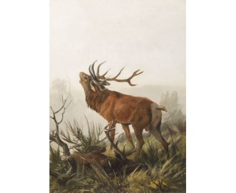 CARL FRIEDRICH DEIKER1836 Wetzlar - 1892 DüsseldorfRÖHRENDER HIRSCH Öl auf Holz. 27 x 20,5 cm (R. 46 x 39,5 cm). Signiert unt