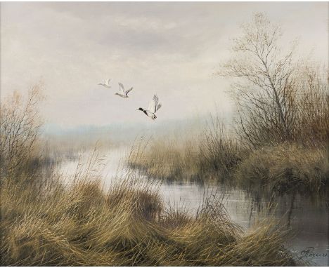 OSWALD RÖMER1938 Berghausen - 1998 SchwarzenauENTEN IN MOORLANDSCHAFT Öl auf Leinwand. 40 x 50 cm (R. 55 x 65 cm). Signiert u