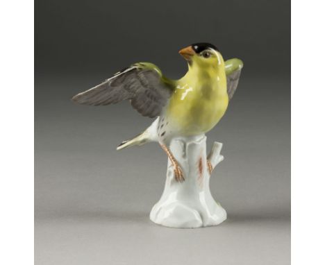 HERMANN NICOLAI1811 Torgau - 1881 BodenbachZEISIG, FLIEGEND Deutsch, Meissen, 20. Jh. (Entwurf 1855) Porzellan, polychrome Ma