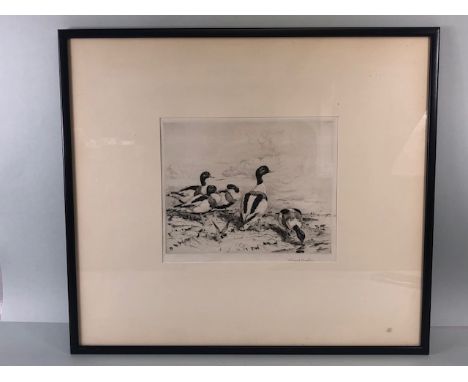 Antique Etching of ducks on a lake side signed in pencil Winifred Austen, framed and glazed approximately 55 x 48cm
