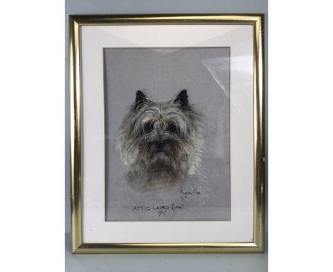 MARJORIE COX (British,1915-2003), Pastel portrait of a Cairn Terrier ATTIC LAIRD (Leo) 1967, signed, framed and glazed approx