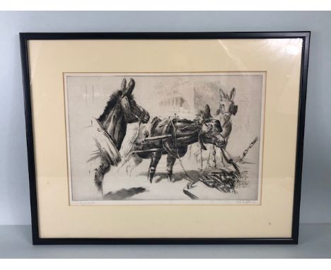 Antique Etching of working Donkeys  titled " taking a break ", signed in pencil S R Brightwood, framed and glazed approximate