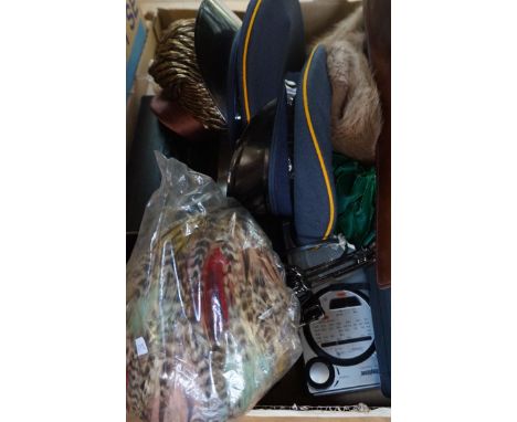 A mixed lot of assorted items to include a vintage leather carrying case, fur stole, and feathered hat.