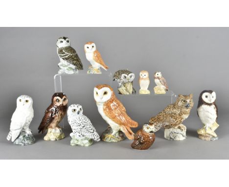 A collection of Beswick, Mack bone china, Nao and other factory owl figurines 