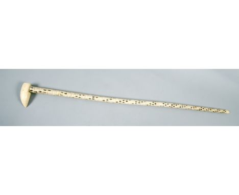 A late 19c marine vertebrate walking stick with a tooth handle and steel core, 35in l.