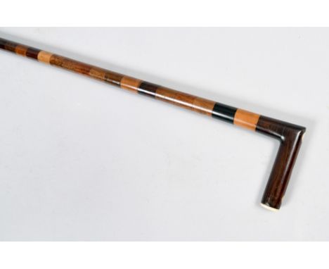 An Edwardian specimen wood walking stick with coiled and polished tapering stick and bone inlaid handle, 32.5in l.