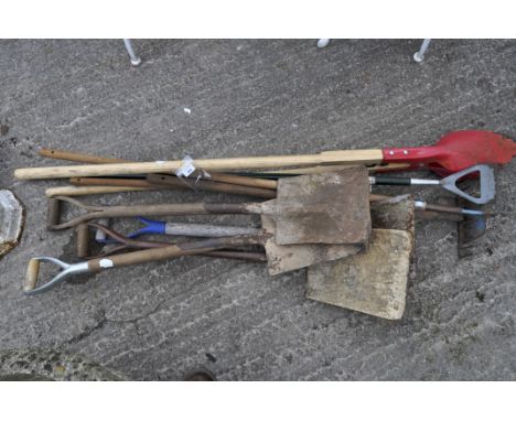 A collection of garden tools including spades, a hoe and other items 